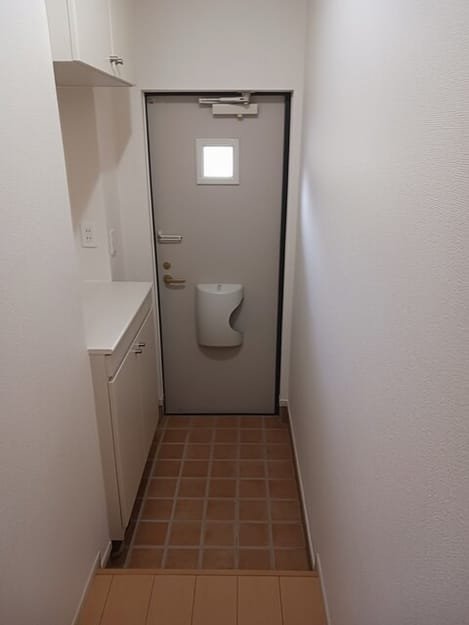 Naikan6 20260205000000
