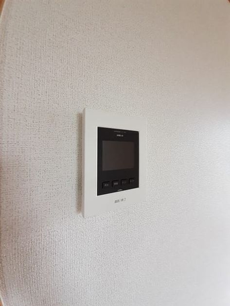Naikan11 20230529000000 945x630