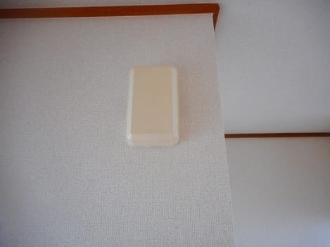 Naikan11 20250206000000