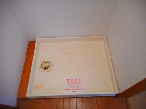 Naikan8 20210511000000