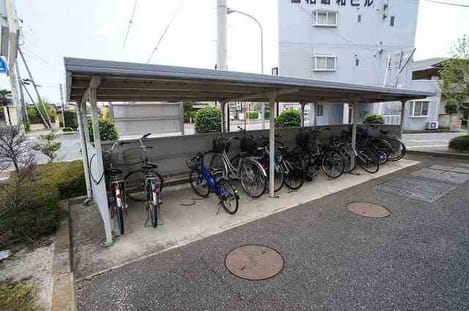Naikan11 20260317000000