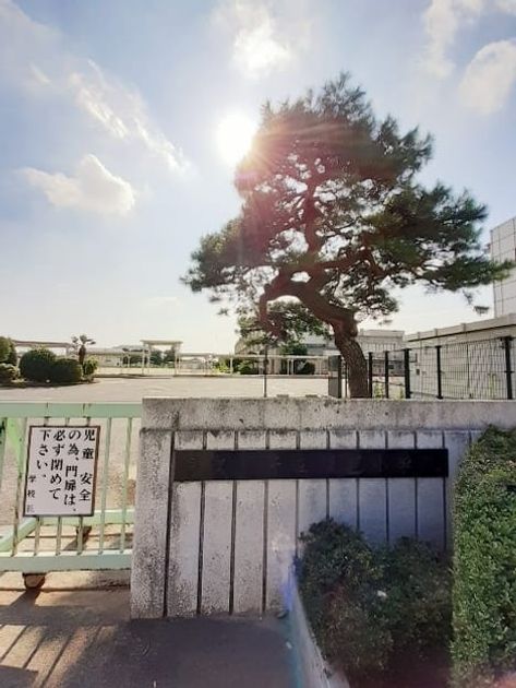 Naikan17 20240227000000 945x630