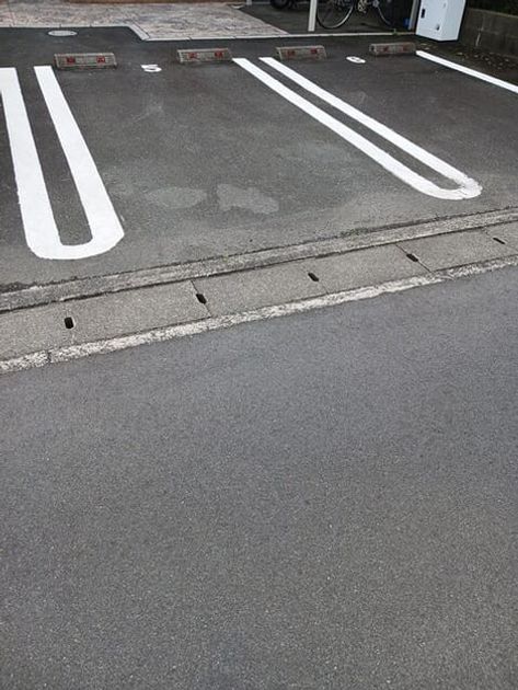 Naikan10 20250411000000 945x630