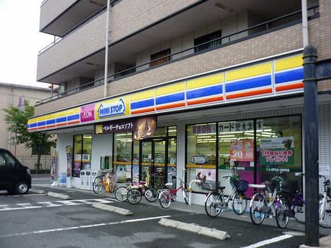Naikan13 20250128000000