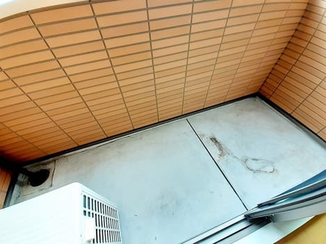 Naikan8 20240209000000