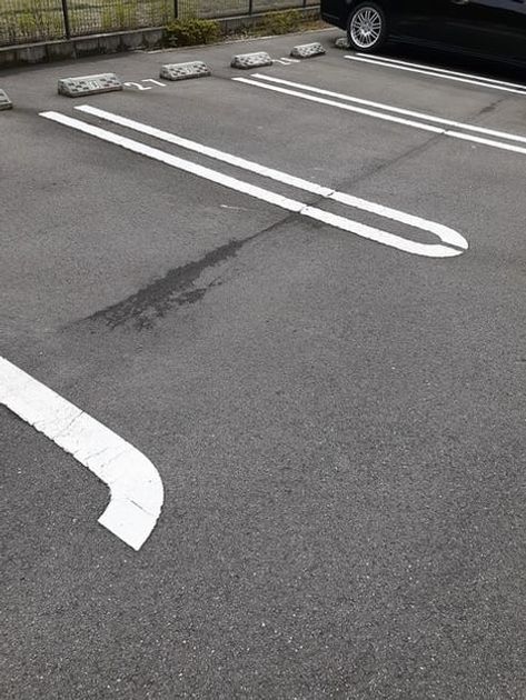 Naikan11 20240227000000 945x630