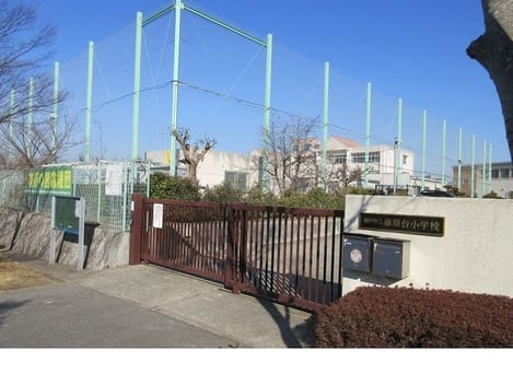 Naikan17 20220122000000