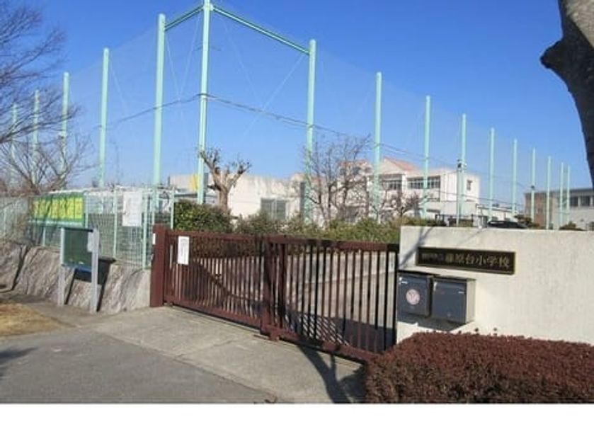 Naikan17 20220122000000 945x630