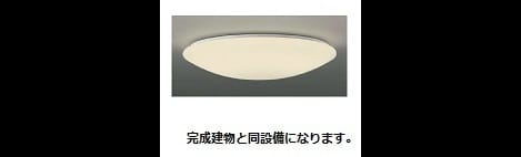 Naikan11 20260819000000