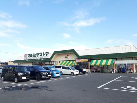 Naikan15 20260819000000