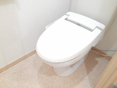 Naikan8 20231106000000