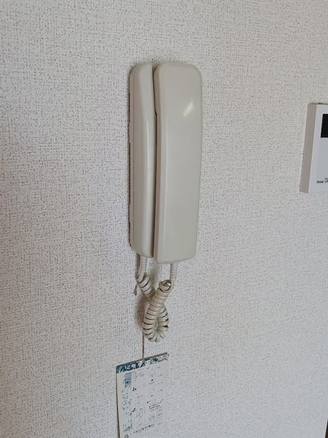 Naikan10 20261001000000 945x630