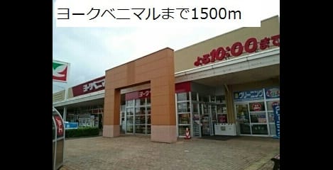 Naikan17 20181222000000