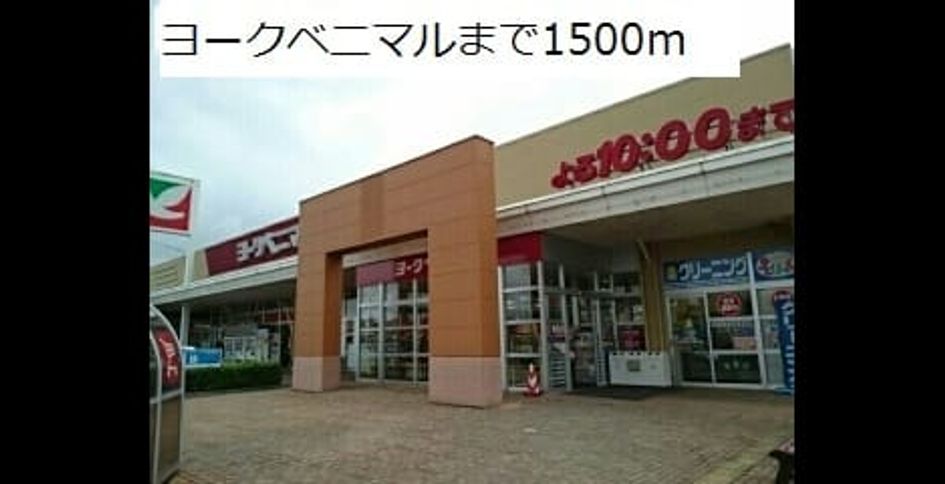 Naikan17 20181222000000 945x630