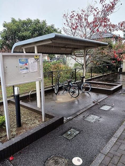 Naikan11 20261026000000 945x630