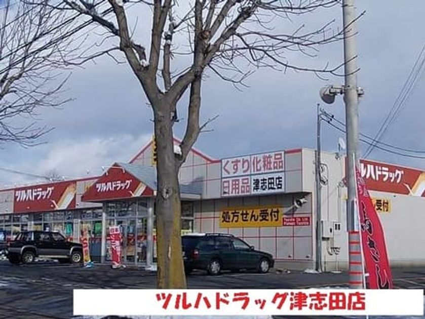 Naikan17 20250306000000 945x630