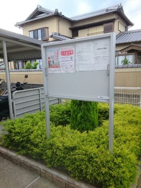 Naikan10 20200602000000 945x630