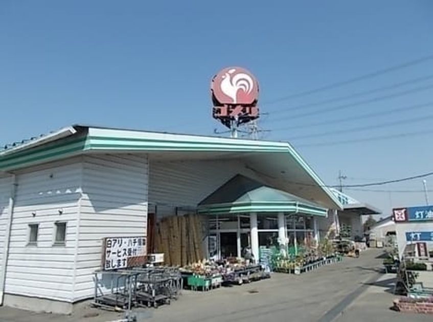Naikan16 20200205000000 945x630