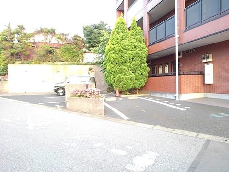 Naikan11 20180601000000