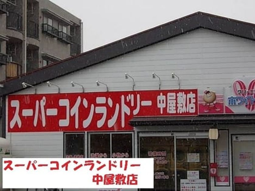 Naikan13 20240327000000 945x630