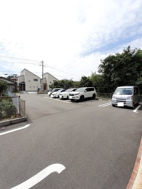 Naikan11 20260924000000