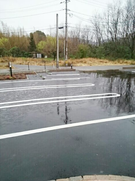 Naikan11 20200328000000