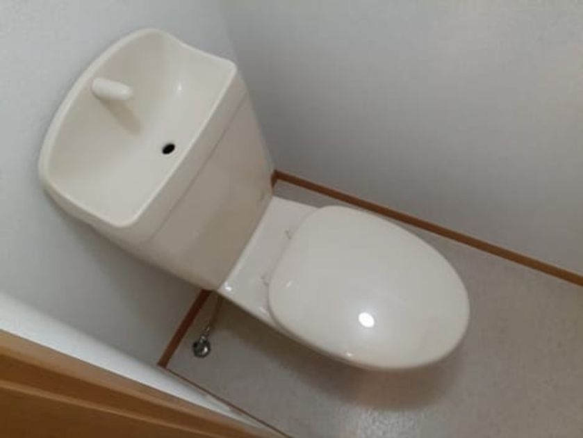 Naikan5 20230411000000 945x630