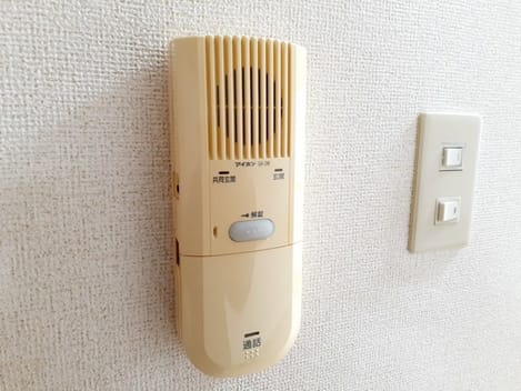 Naikan12 20231205000000