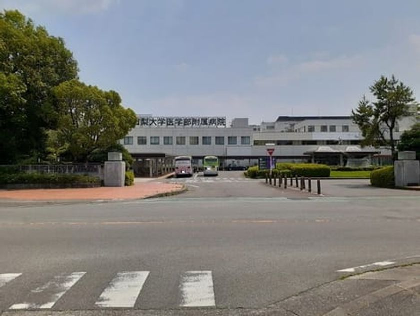Naikan17 20260529000000 945x630