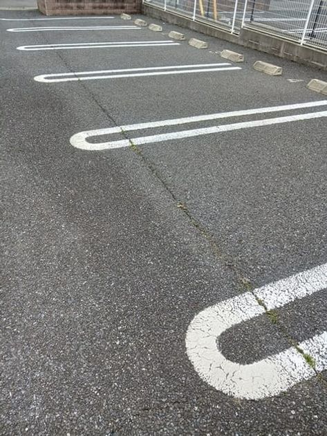 Naikan11 20260313000000 945x630