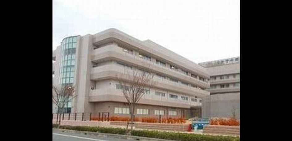 Naikan15 20250328000000 945x630