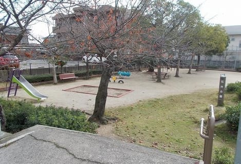 Naikan18 20200604000000