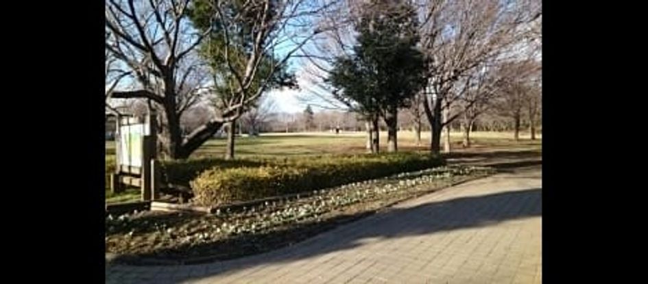 Naikan18 20210317000000 945x630