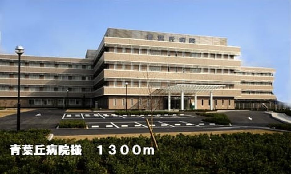 Naikan17 20140306000000 945x630