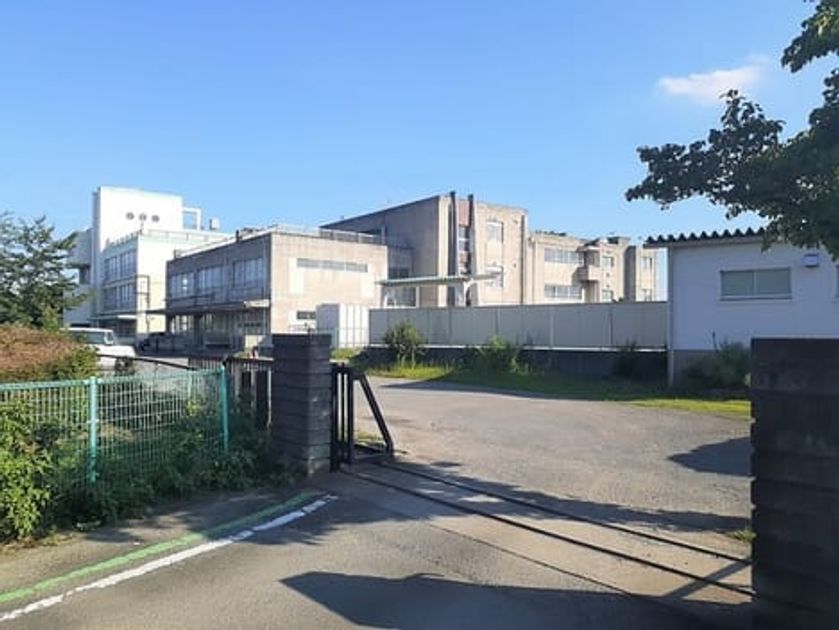 Naikan17 20250306000000 945x630