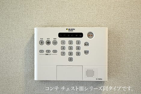 Naikan11 20260909000000