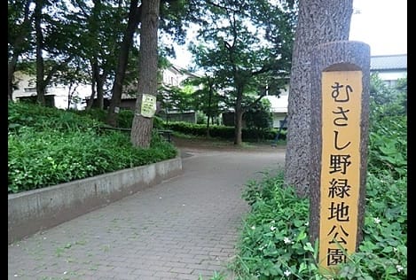 Naikan18 20201023000000