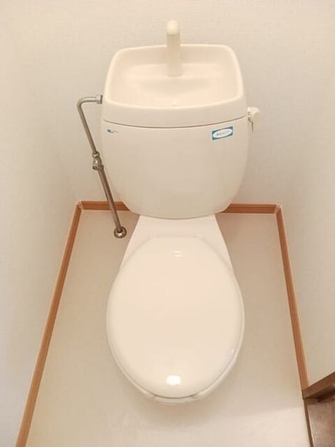 Naikan10 20250725000000 945x630