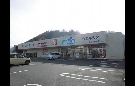 Naikan4 20260123000000