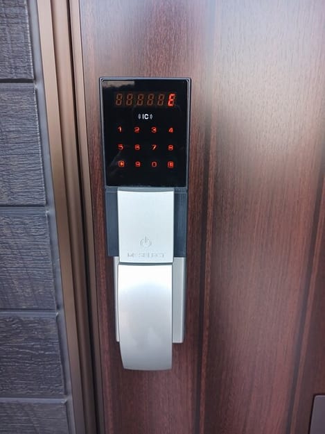 Naikan11 20260205000000