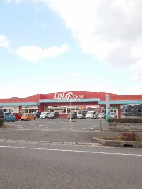 Naikan17 20200531000000