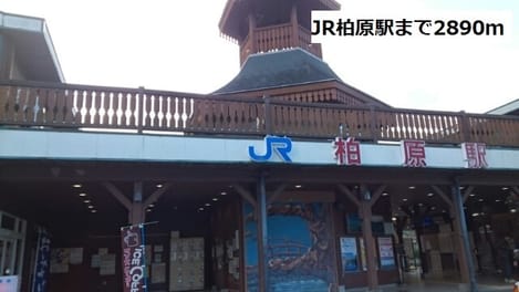 Naikan13 20200831000000