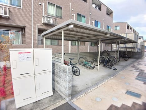 Naikan11 20260218000000