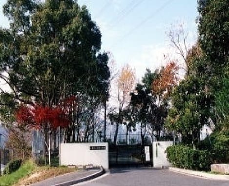 Naikan17 20230309000000
