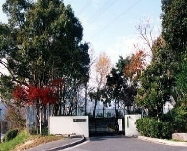 Naikan17 20230309000000 945x630