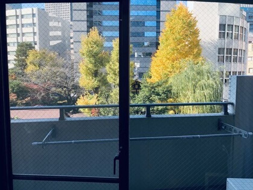 Naikan9 20260514162004 945x630