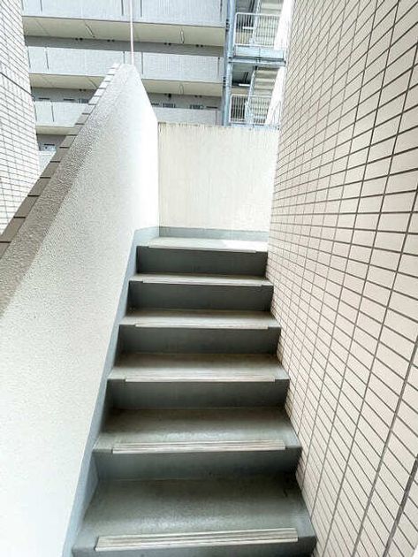 Naikan21 20250801093733 945x630