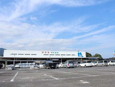 Naikan17 20240926000000