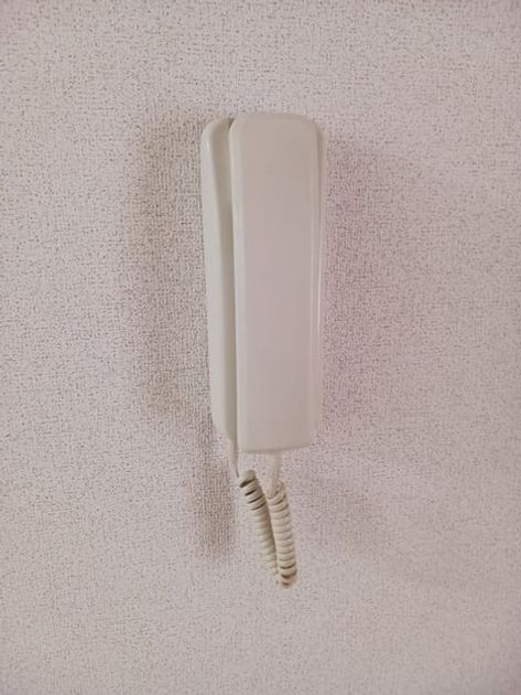 Naikan12 20250827000000 945x630