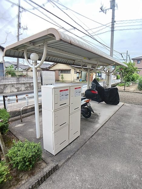 Naikan11 20260617000000